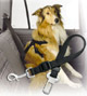 Ceinture de s�curit� pour chien