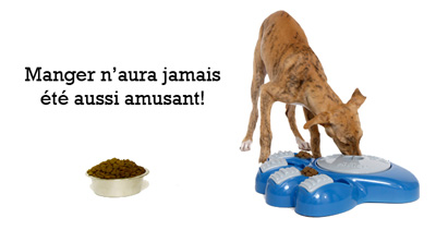 Bol interacif pour chien