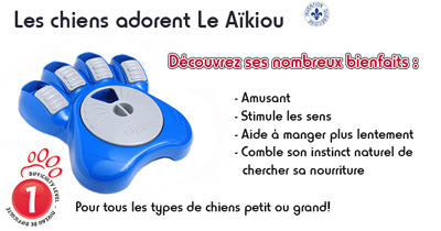Aikiou aide la chien  manger lentement