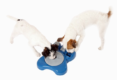 Le bol AIKIOU pour chien interesse tous les chiens