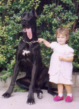 cohabitation chien enfant