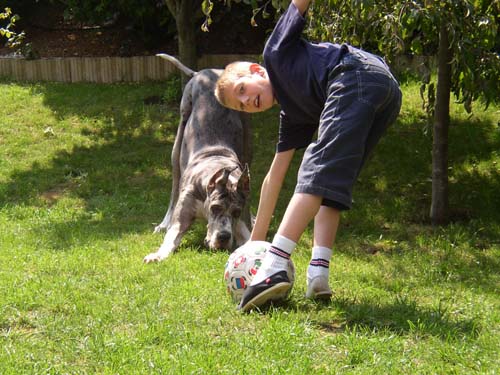 enfant maitrer du chien
