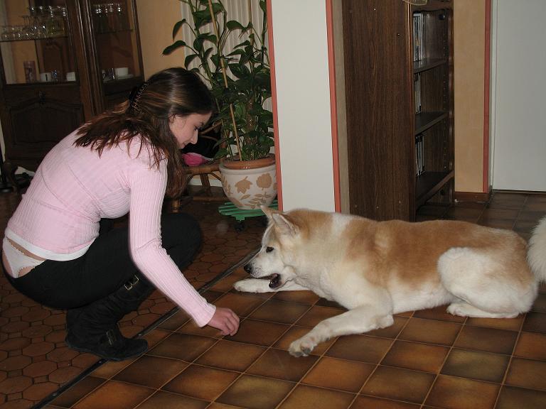 jeux maitre chien