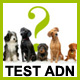 Tests ADN pour chiens
