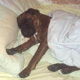 A quoi votre chien r�ve-t-il ?