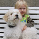 l'enfant et le chien