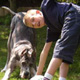 Maman, je voudrais un chien