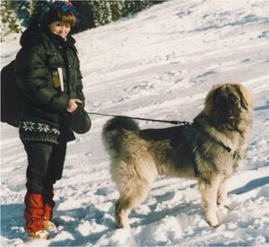 charplaninatz chien neige conseil