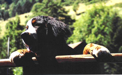 arthur3