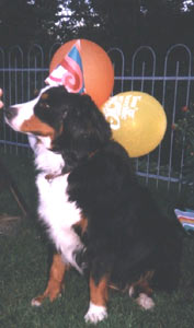 anniversaire 5 ans