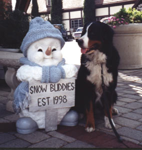 Snow Buddies est 1998