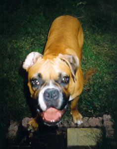 Roy1