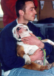 Photo du Bulldog