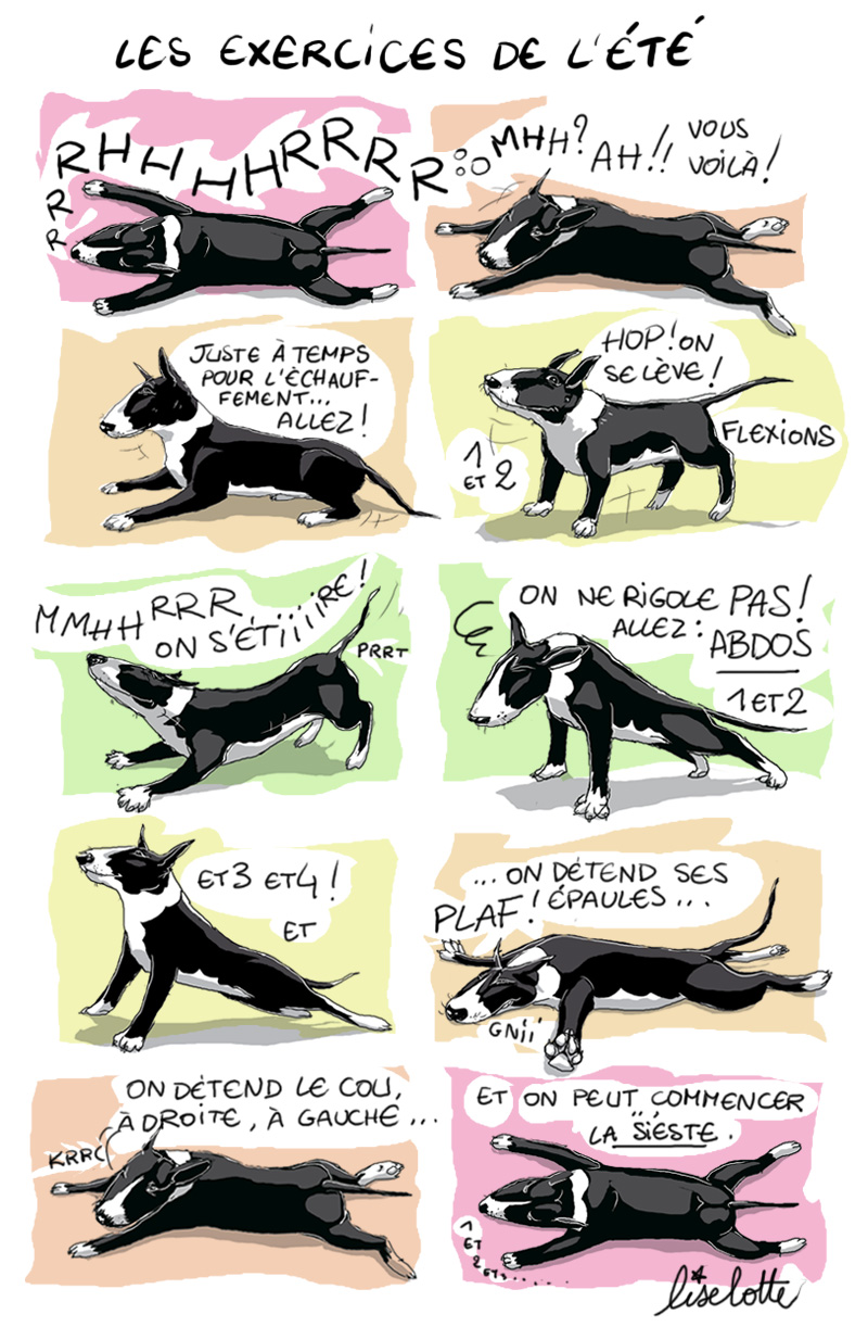 3 exercices surprenants qui transforment votre chien